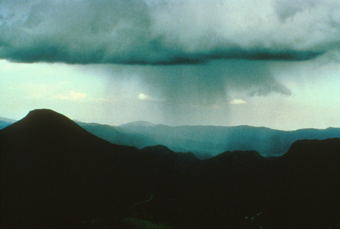 Rainshafts from base of cumulonimbus (DI00102)