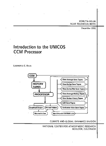 Introduction to the UNICOS CCM Processor