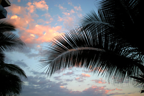 Tropical Cumulus Clouds (DI01209)