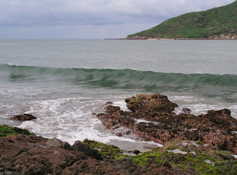 Ocean Wave, Mexico (DI01221)