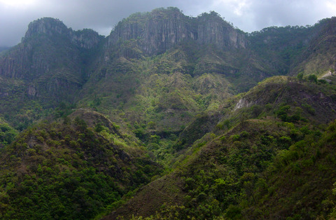 Village surrounded by Forest, Mexico (DI01228), Photo by David Gochis
