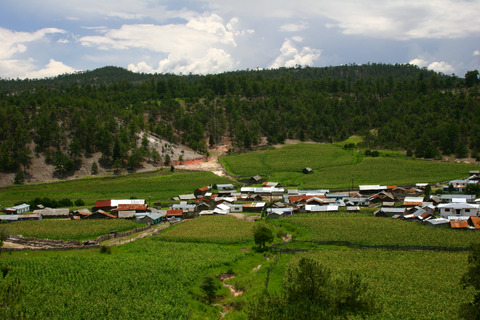 Village surrounded by Forest, Mexico (DI01229), Photo by David Gochis