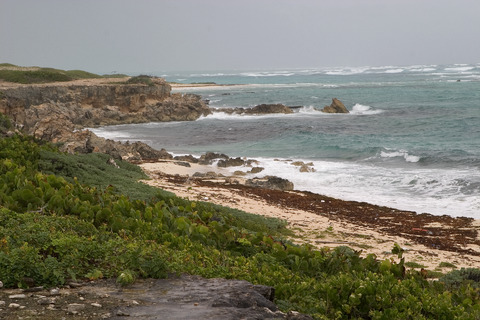 Ocean view with coastline at RICO (DI01350)