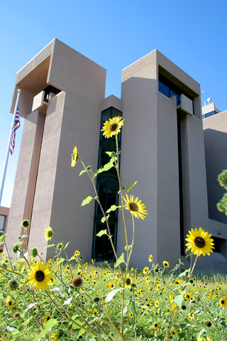Mesa Laboratory with sunflowers (DI01438)