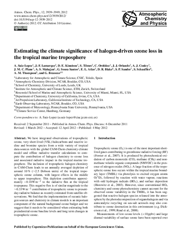 Estimating the climate significance of halogen-driven ozone loss in the tropical marine troposphere