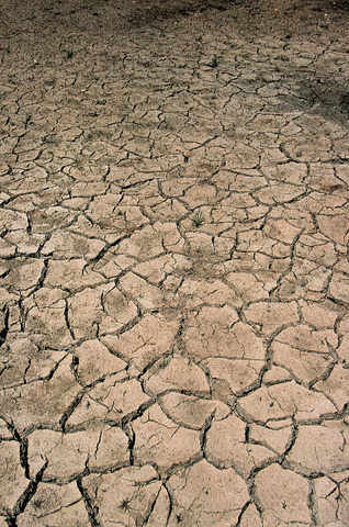 Drought in Colorado (DI01484), Photo by Carlye Calvin