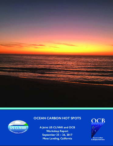 Ocean Carbon Hot Spots: A US CLIVAR and OCB Workshop Report