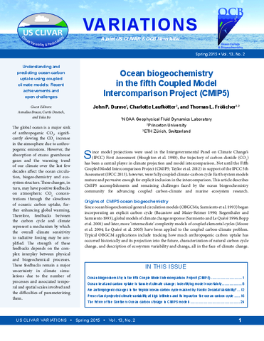 Understanding and predicting ocean carbon uptake using coupled climate models: Recent achievements and open challenges