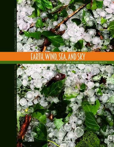 SOARS Earth, Wind, Sea, and Sky: Protégé Abstracts 2019