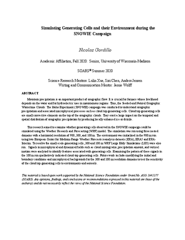 Simulating Generating Cells and their Environment during the SNOWIE Campaign
