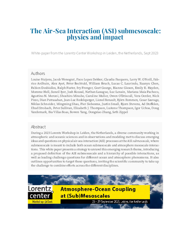 The air-sea interaction (ASI) submesoscale: Physics and impact