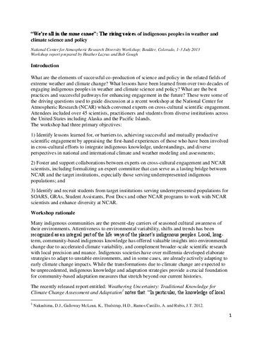 2013 Rising Voices Workshop Report