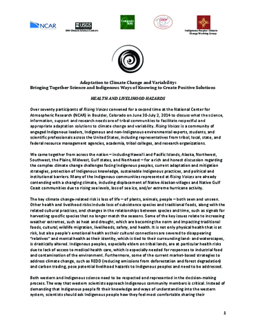 2014 Rising Voices Workshop Report on Health and Livelihoods Hazards