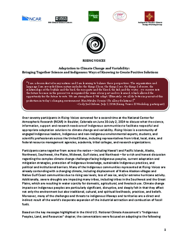 2014 Rising Voices Workshop Report Summary