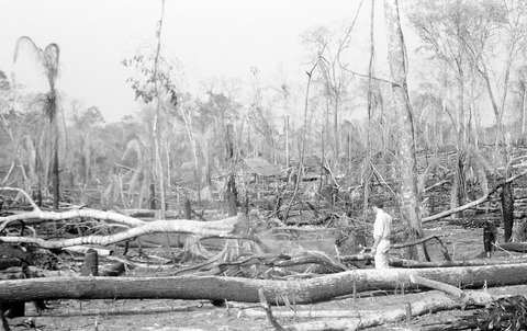 Brush fires in Brazil (5140)